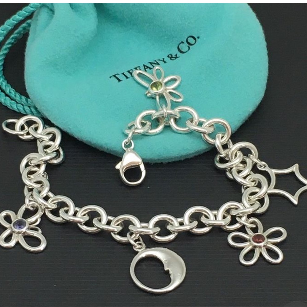 Tiffany & Co-One gemstone charm bracelet (retired)